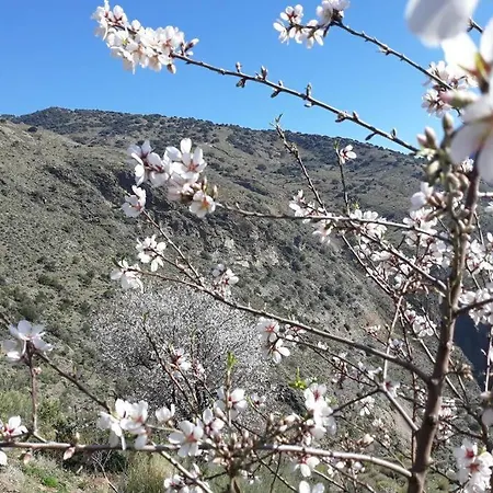 Refugio Arrabales